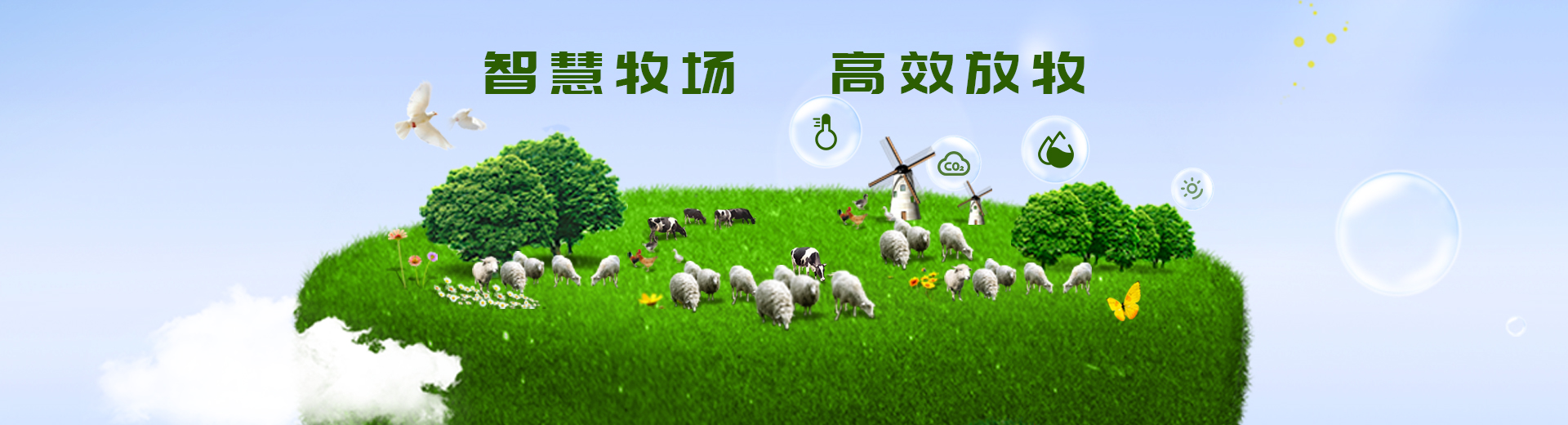 轮播图1